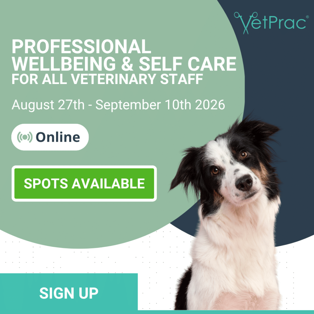 Spots Available 5