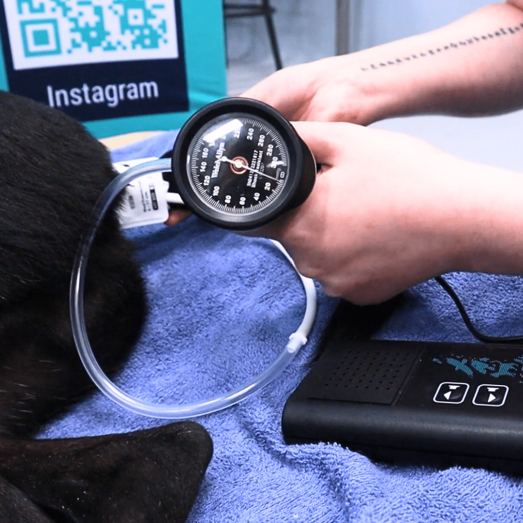 Blood Pressure Hybrid 1