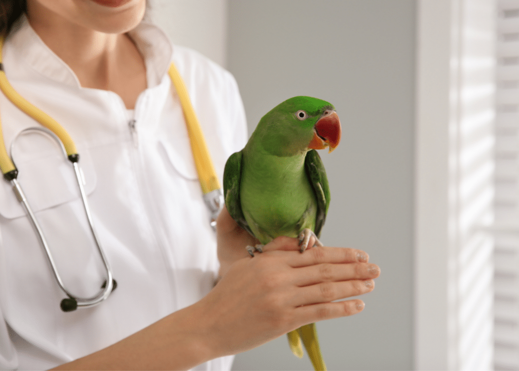 Exotics Nurse Tech Conference