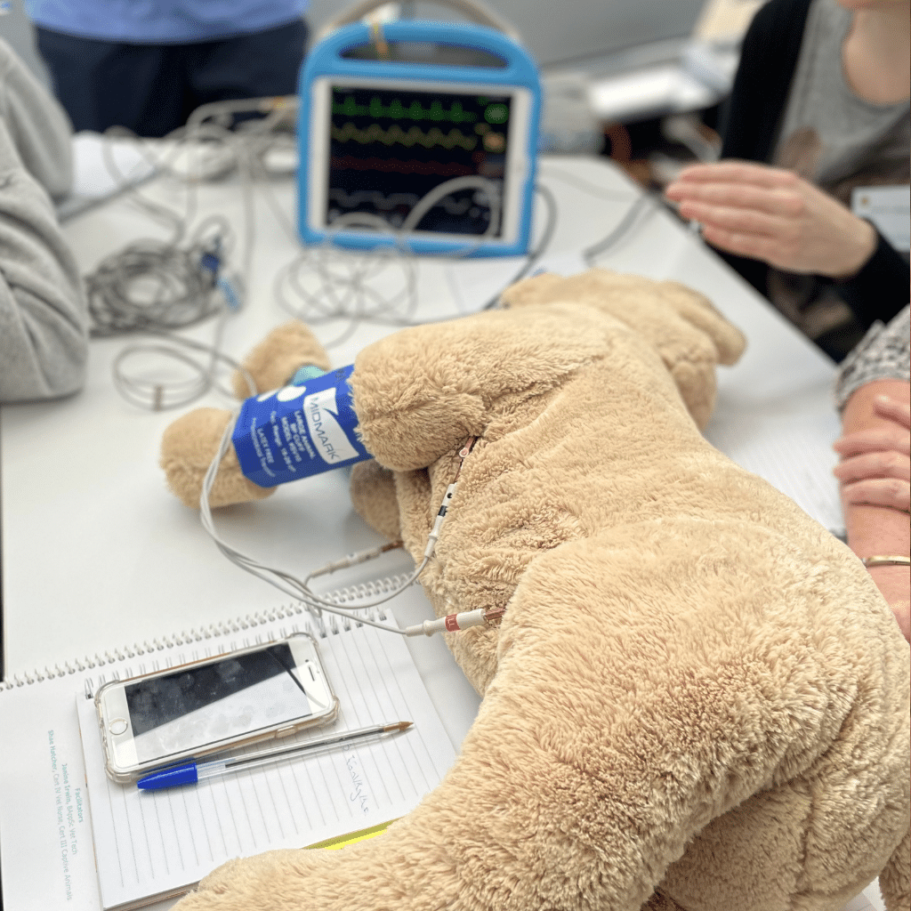 Intro to Anaesthesia Hybrid