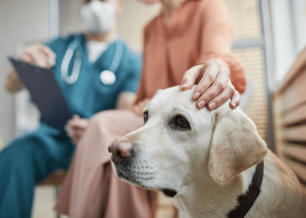 Patient Centred Care