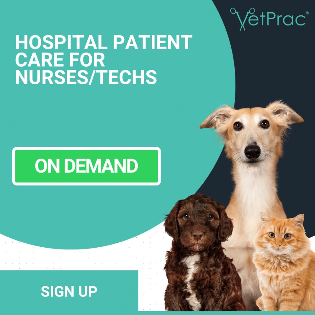 Hospital Patient Care