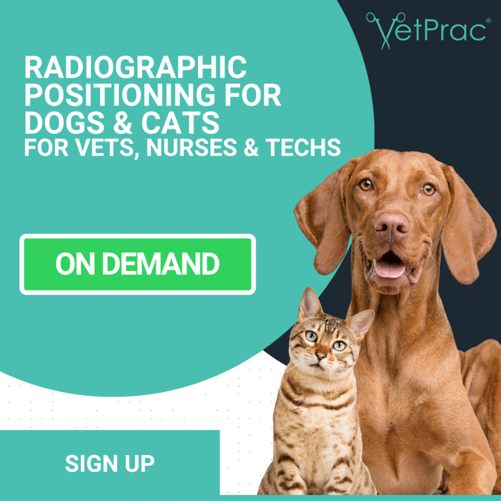 Radiographic Positioning